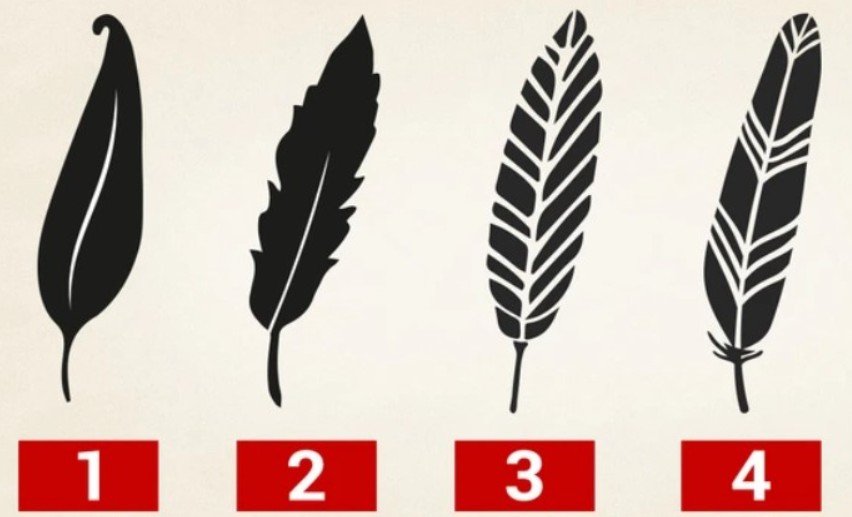 feather